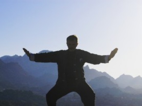 Conscience de la marche et Qi Gong niveau 1