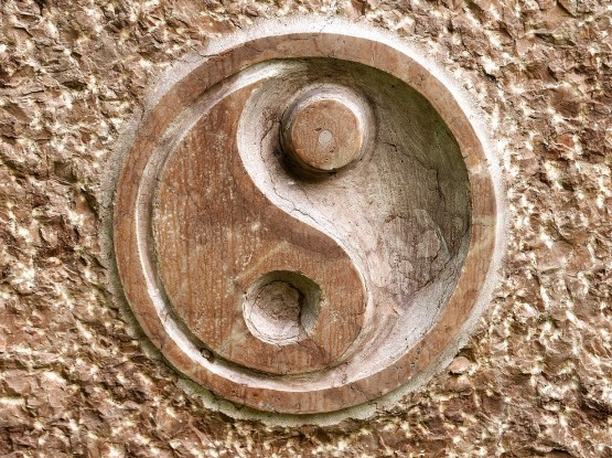 Conscience de la marche et Qi Gong niveau 2